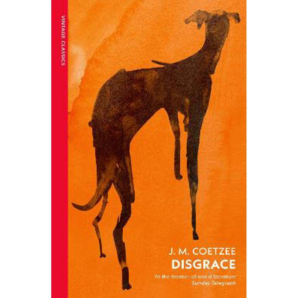 Disgrace: A BBC Radio 4 Good Read (Paperback) - J.M. Coetzee